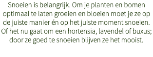 Snoeien is belangrijk. Om je planten en bomen optimaal te laten groeien en bloeien moet je ze op de juiste manier én op het juiste moment snoeien. Of het nu gaat om een hortensia, lavendel of buxus; door ze goed te snoeien blijven ze het mooist.